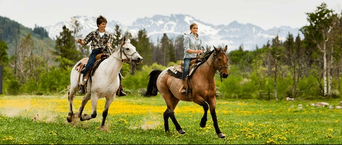 Confident plus-size woman riding Hampton in Arden a horse through a field with a smile on her face.
